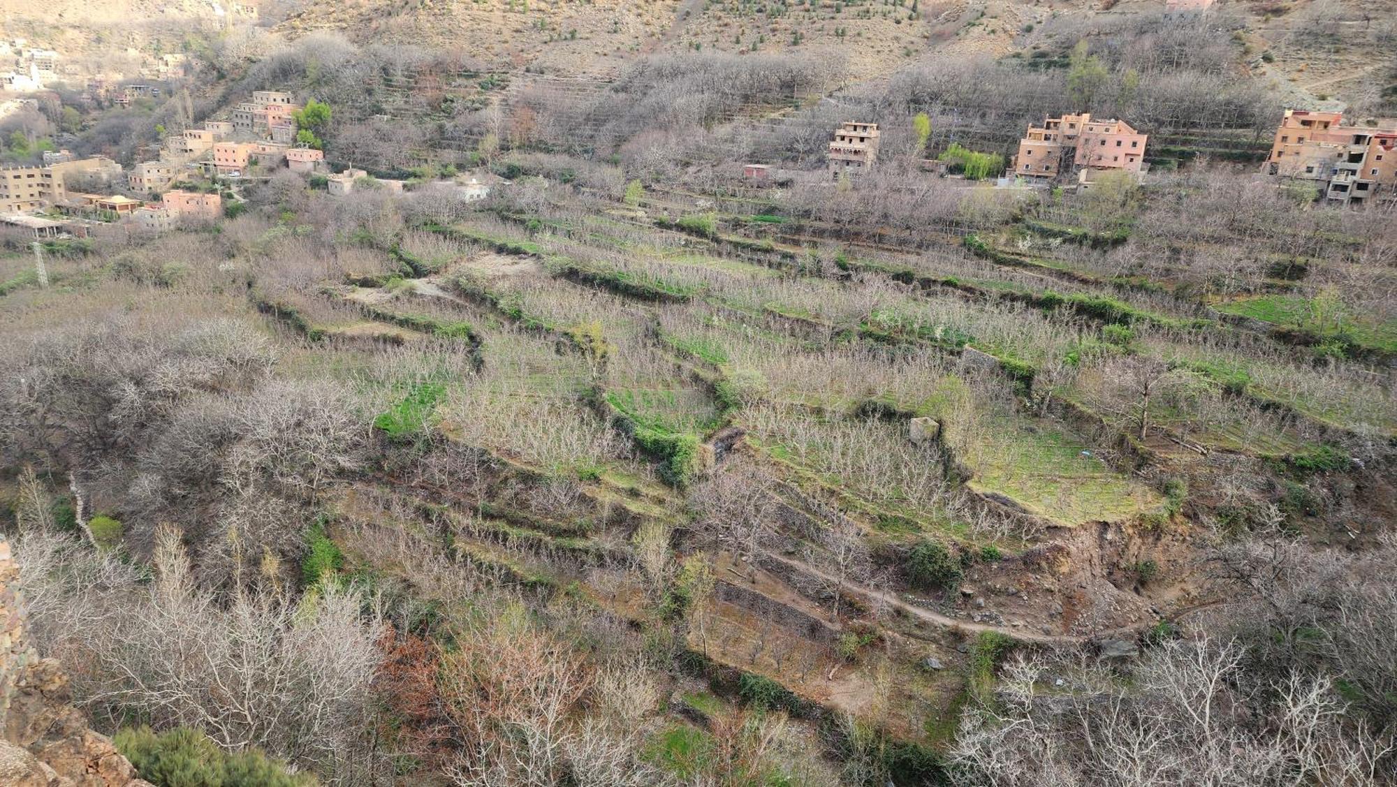Gîte Atlas Mazik Imlil Szoba fotó